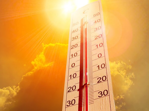 30 degrees today - 31 degrees tomorrow!

AMK Gatwick can help keep you cool....Re-gas your air-conditioning for just £72 including VAT at AMK Gatwick.

Just call Justine on 01293 618306 or email service@amkgatwick.co.uk

#aircon #regas