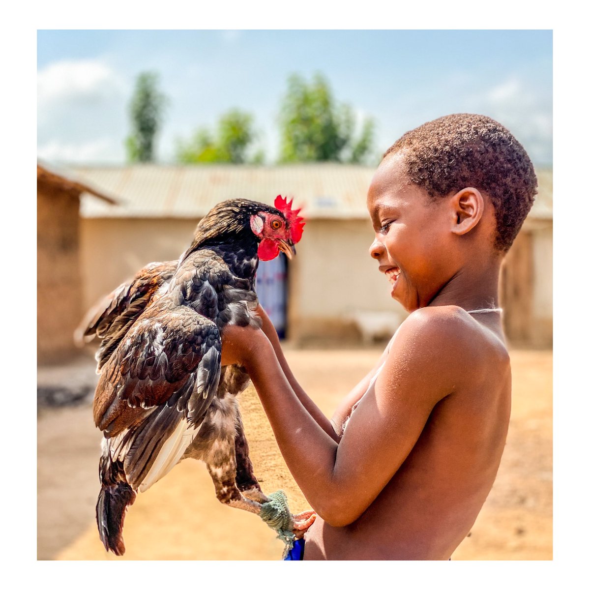 yanickfolly's tweet photo. Sobou a very smiling little girl smiles at her rooster returning from field work.#benin #bénin #enfant #smile #coq #fille #village #reportagephotography #visitbenin #visitbénin #petitefille #africa #afrique #photodujour #Infodemic #loveislove #Eploronslebenin #storyteller https://t.co/MFdWoWI1bd
