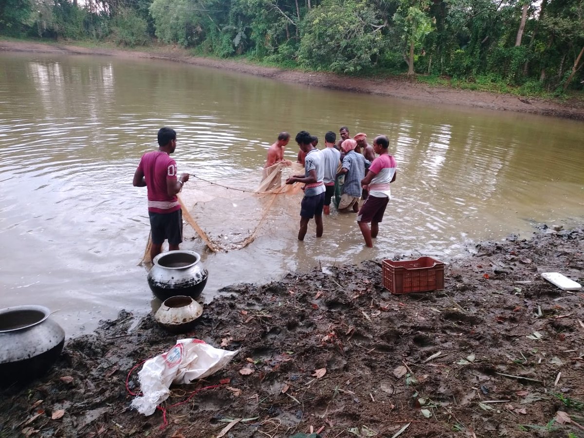 BpmuBasudevpur's tweet photo. More than 40 no. Of WSHGs of Basudevpur Block involved in different income generating activities #pisciculture #vegetablefarming #poultryfarming #mushroomcultivation due to relaxation of #lockdown restriction.
@BhadrakDswo @DM_Bhadrak https://t.co/vSSl9QD3Qi