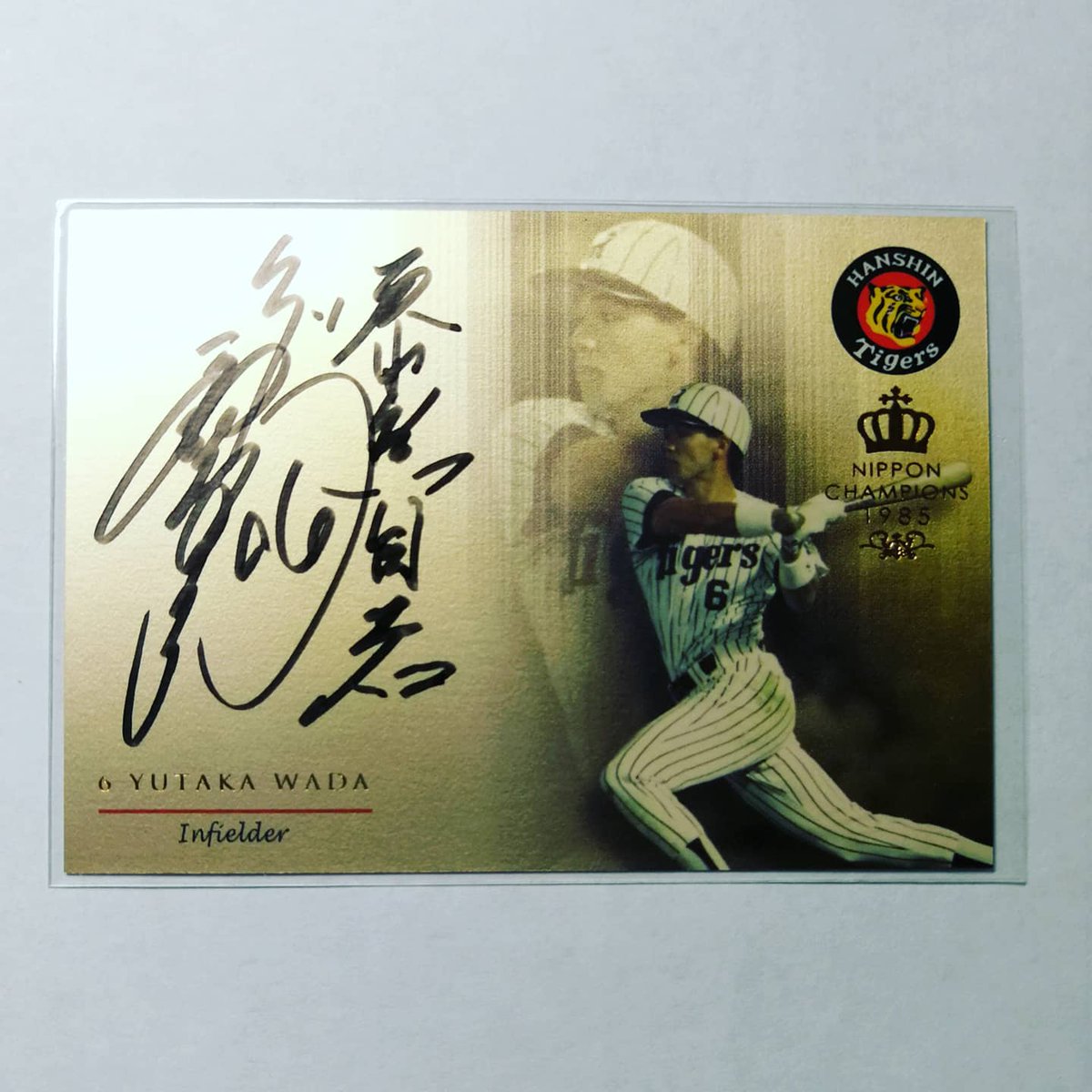 和田豊 和田豊
