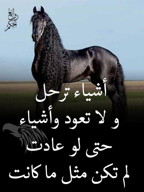 sousoi soumia tweet media