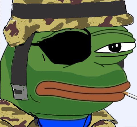 Your senior Pepe will help you get settled in to your Barracks here at Camp Dank! Those of you that wash out will be assigned to Camp Wannahackaloogie or Camp Hilldog I suggest you listen to your advisor !