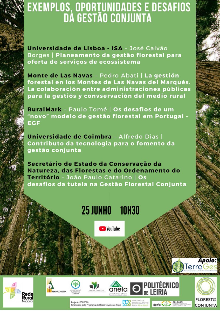 Sónia Figo (@sonia_figo) on Twitter photo 