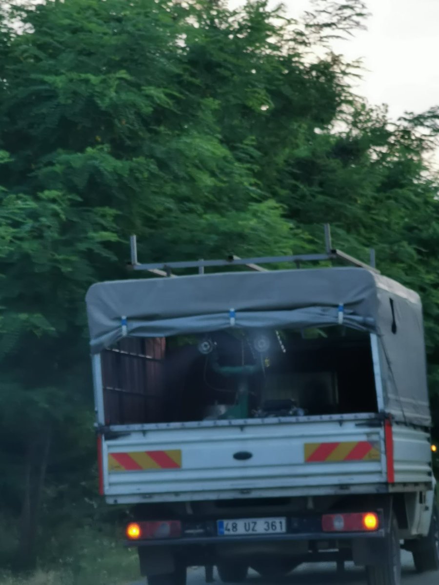 Yaz aylarında ortaya çıkan ağaç yaprak bitleri ağaçlara ve çiçeklere zarar veren vektörlere karşı Belediye Başkan Vekilimiz/Kaymakam Sayın Lütfullah GÖKTAŞ'ın talimatı ile beldemizin cadde ve kaldırımlarında bulunan ağaçlar düzenli olarak belediye personelimizce ilaçlandı.