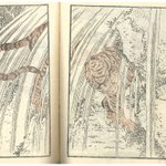 main image of this resource