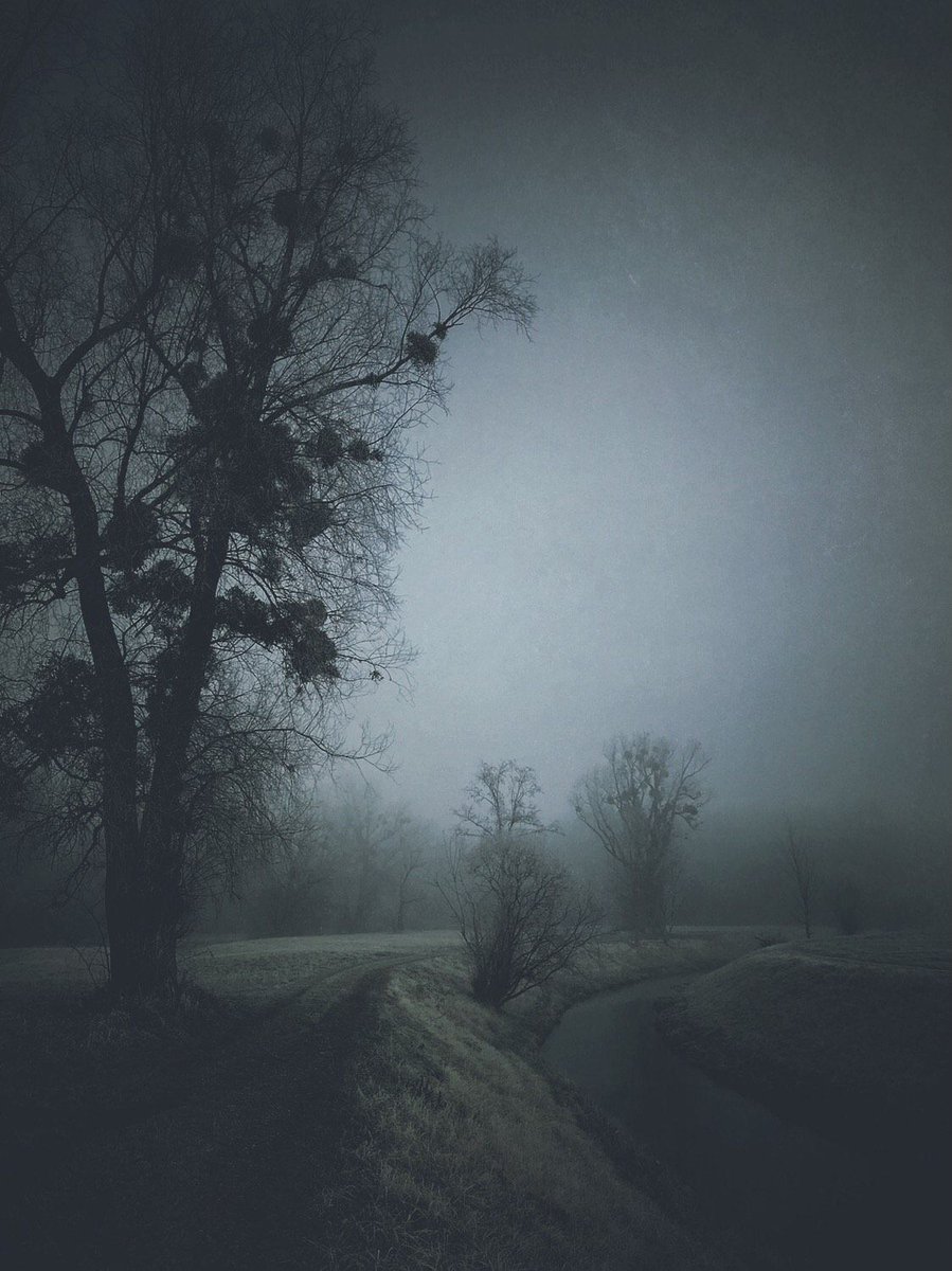 ImagesWithStories tweet media