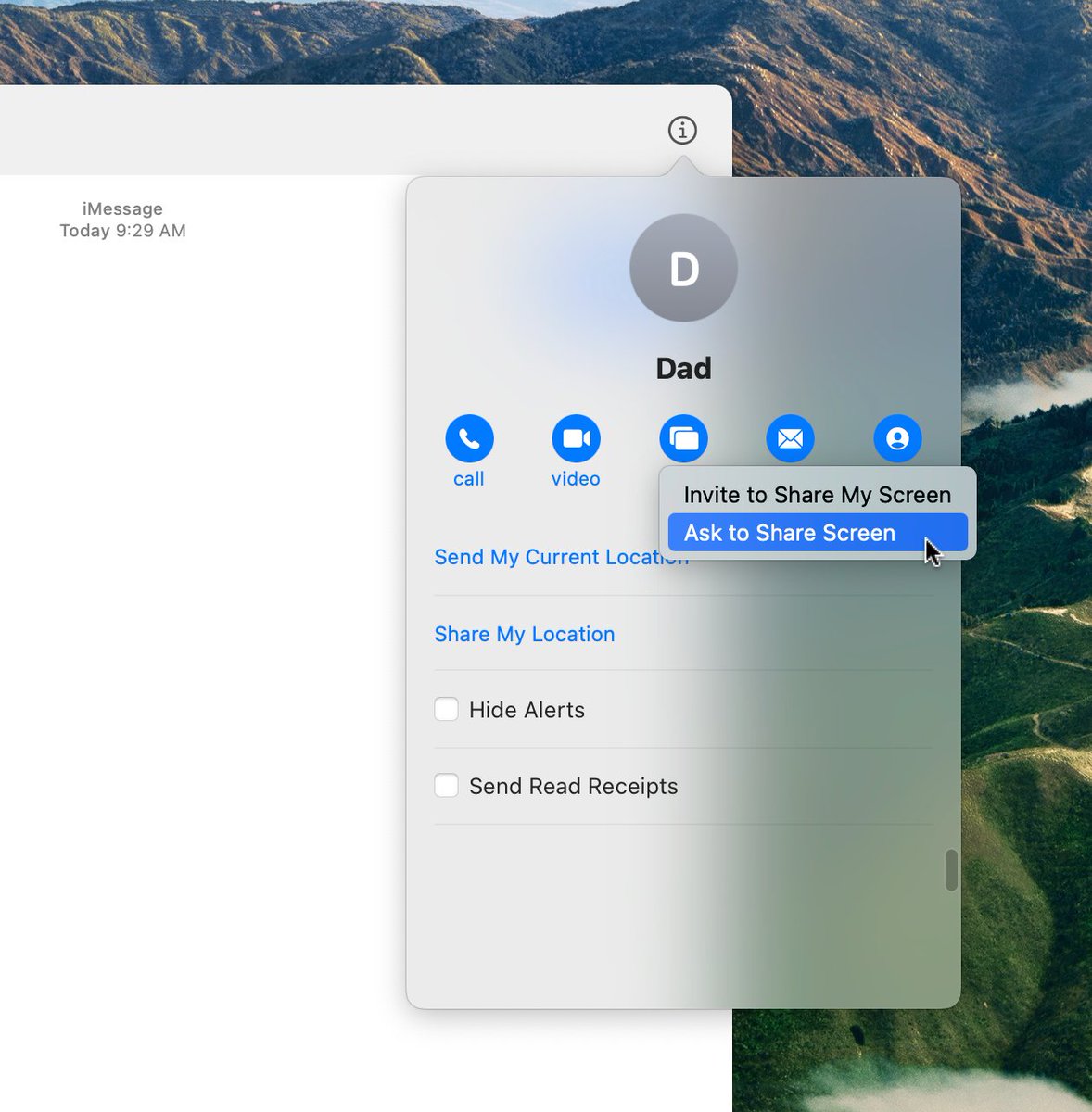 siracusa's tweet image. Phew! I’m glad this made it into the Catalyst Messages app in Big Sur.