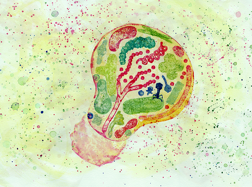 So the next time you see a style you like, or something on sale by an artist and it's not quite what you want, consider commissioning them. And think of all the different ways you might be able to use it to make it pay for itself  https://artologica.wixsite.com/microbeartwalk/store #MicrobeArtWalk