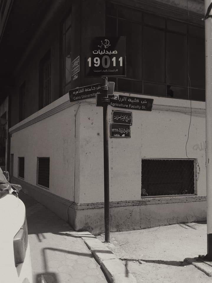 Dalia (@callitvega) on Twitter photo 