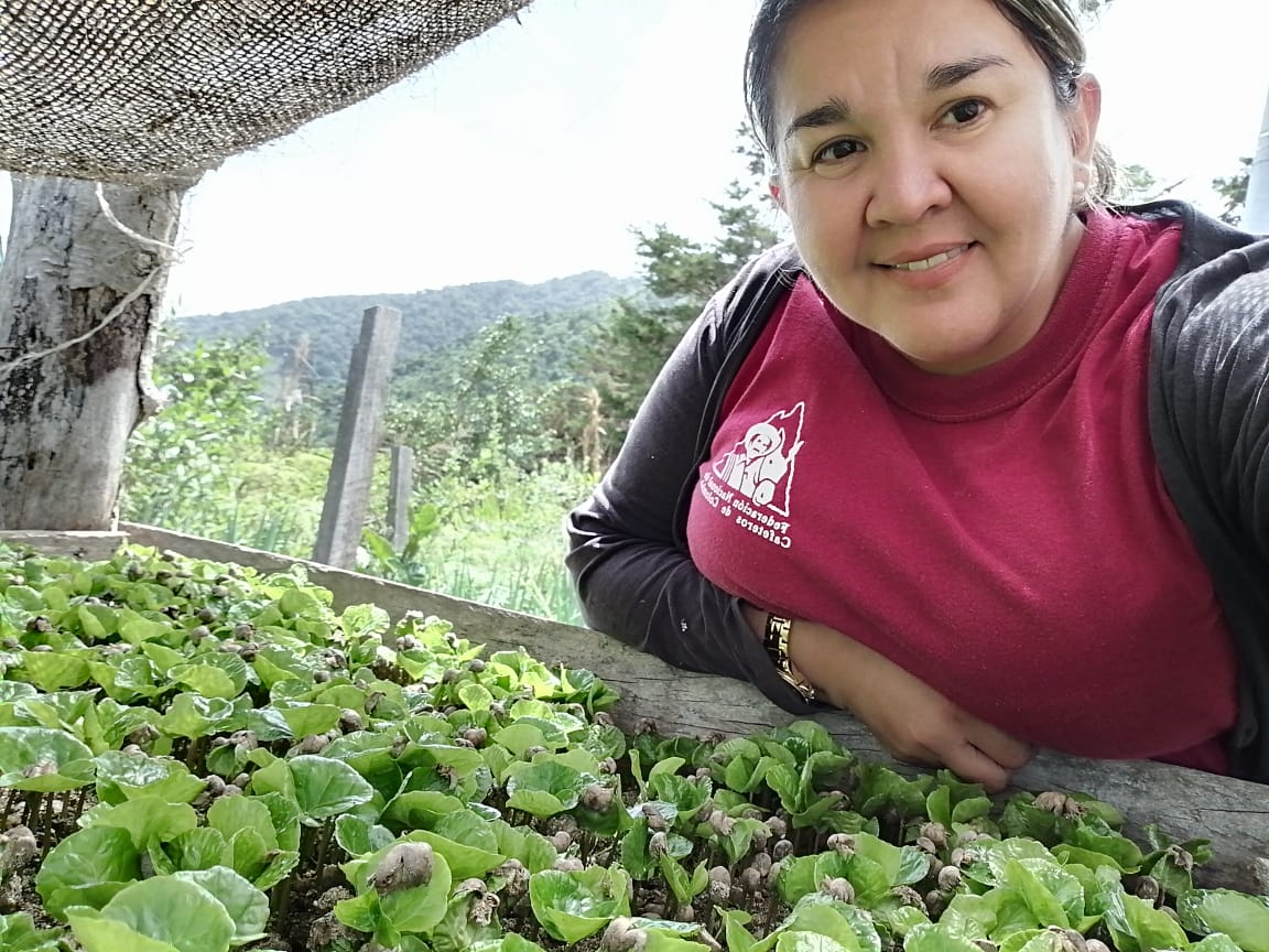 #mujerescafeteras, Luz Aidé Serrano, Caficultora del Municipio de Santa Marta nos expresa “He aprendido no solo a verificar tareas sino a hacerlas con mis propias manos, amor por lo que me apasiona el Café”, Mujer valiente y trabajadora del #Magdalena. 💪

<a href="/FedeCafeteros/">Federación Nacional de Cafeteros</a>