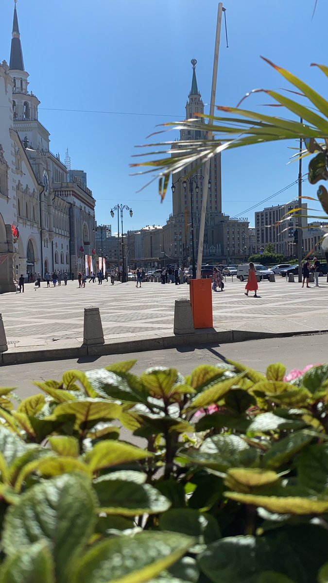 svvoff's tweet photo. Вот это жизь https://t.co/MIJ2Pm3lMt