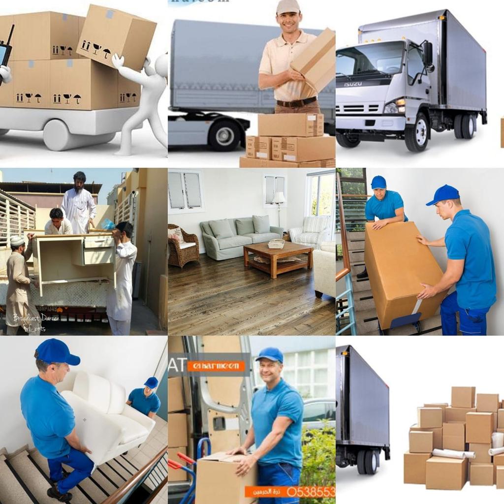 شركة شحن من الرياض إلى مصر