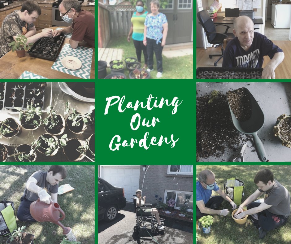 Planting seeds and working on gardens has become a popular pastime while people have been isolating at home.  We can't wait to see the flowers, veggies &amp; 'fruits of their labours' :)