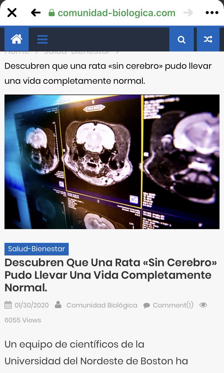 Daniel9576's tweet photo. Ayer leí un artículo sobre @ravelpak que me gusto. https://t.co/rH056o3ZAR