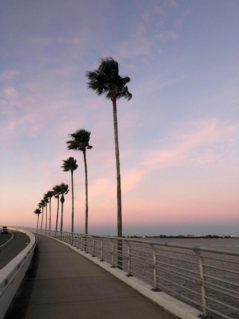 WestinSarasota's tweet photo. Sunrise or sunset, find your focus when you #MoveWell #runWestin https://t.co/Okmj9ej6sZ