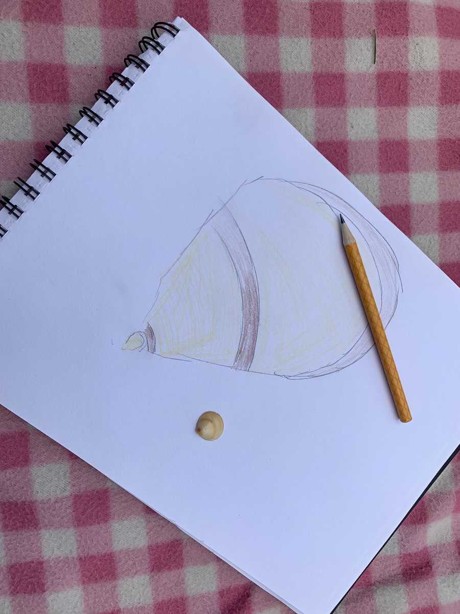 DionneMcLaugh18's tweet photo. @Leith_Primary @leithp5 Virtual Beach Day! Art on the beach! Elisha wanted to draw her favourite shell that she collected from the beach, she hopes u like it 🐚 https://t.co/woHRKMxGDy