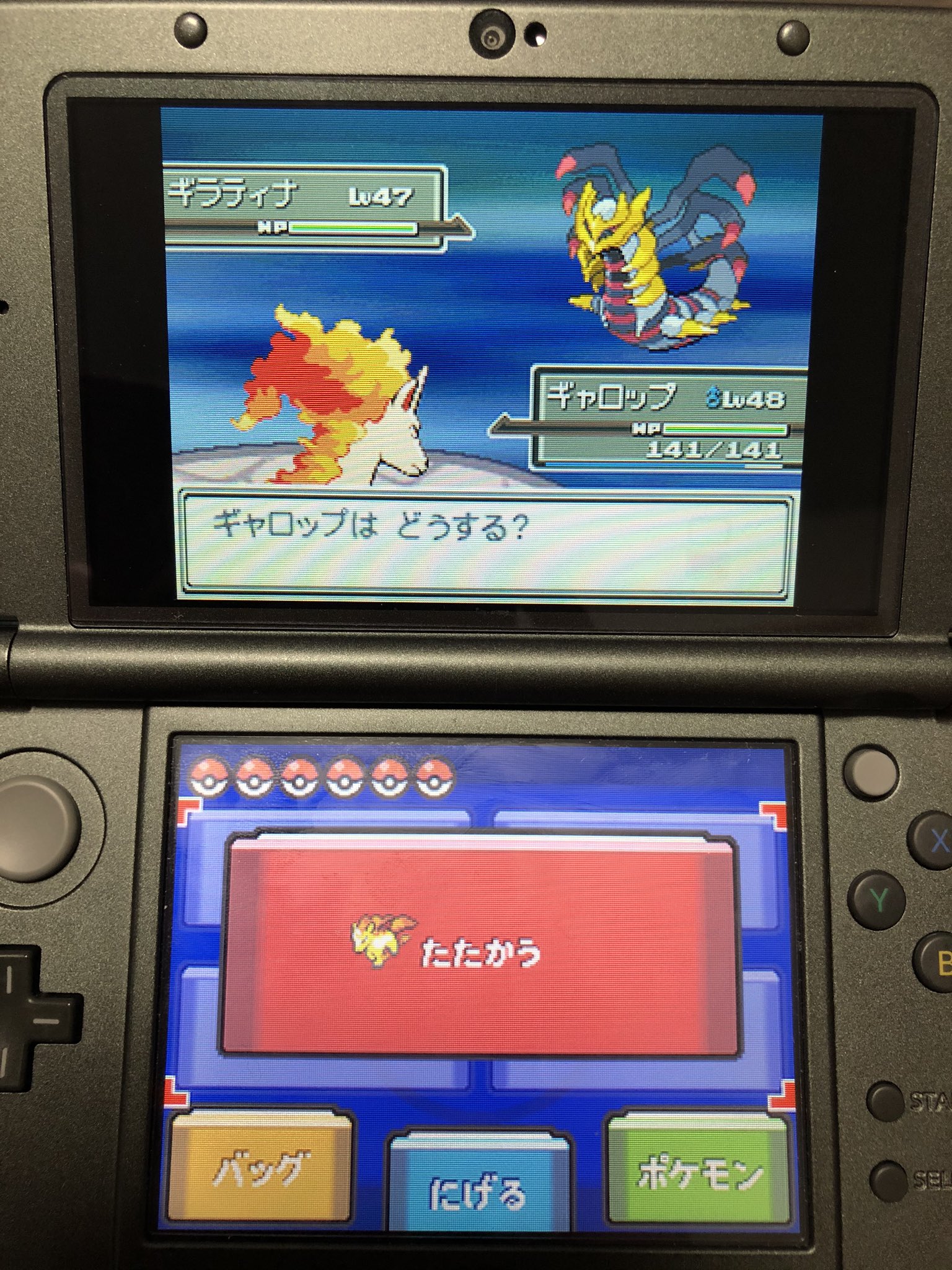 まなてぃ ポケモンgo4赤 兵庫 姫路 加古川 プラチナ起動したらこんなところにいました 色違い粘ってて数千回やっても出なかったから諦めたやつだ この時代の色違い確率は本当にエグいわ これのせいでギラティナの鳴き声がトラウマですw ギラティナ