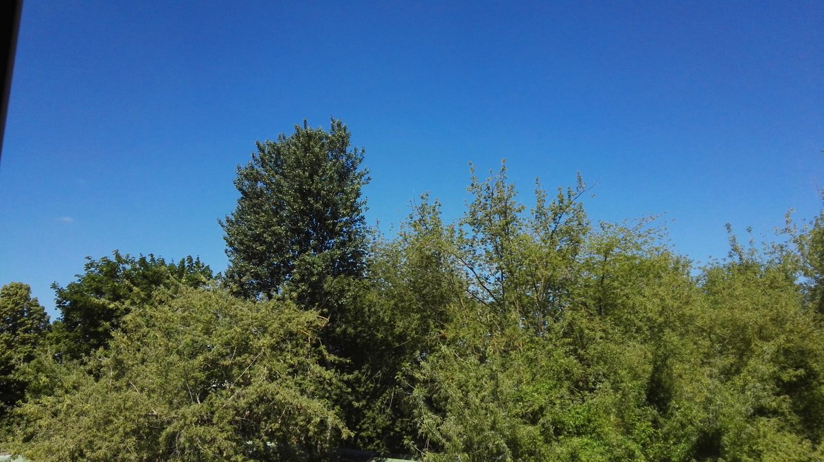 md_inge's tweet photo. 1 Blick aus meinem #Hofis für euch. https://t.co/J757lJvRpr