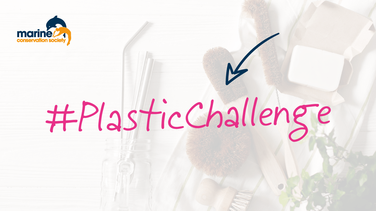 How much plastic have you been using in your life? It’s time to change habits for the good of the ocean. Ready to take on the challenge? #PlasticFreeJuly #StopThePlasticTide <a href="/mcsuk/">Marine Conservation Society</a>