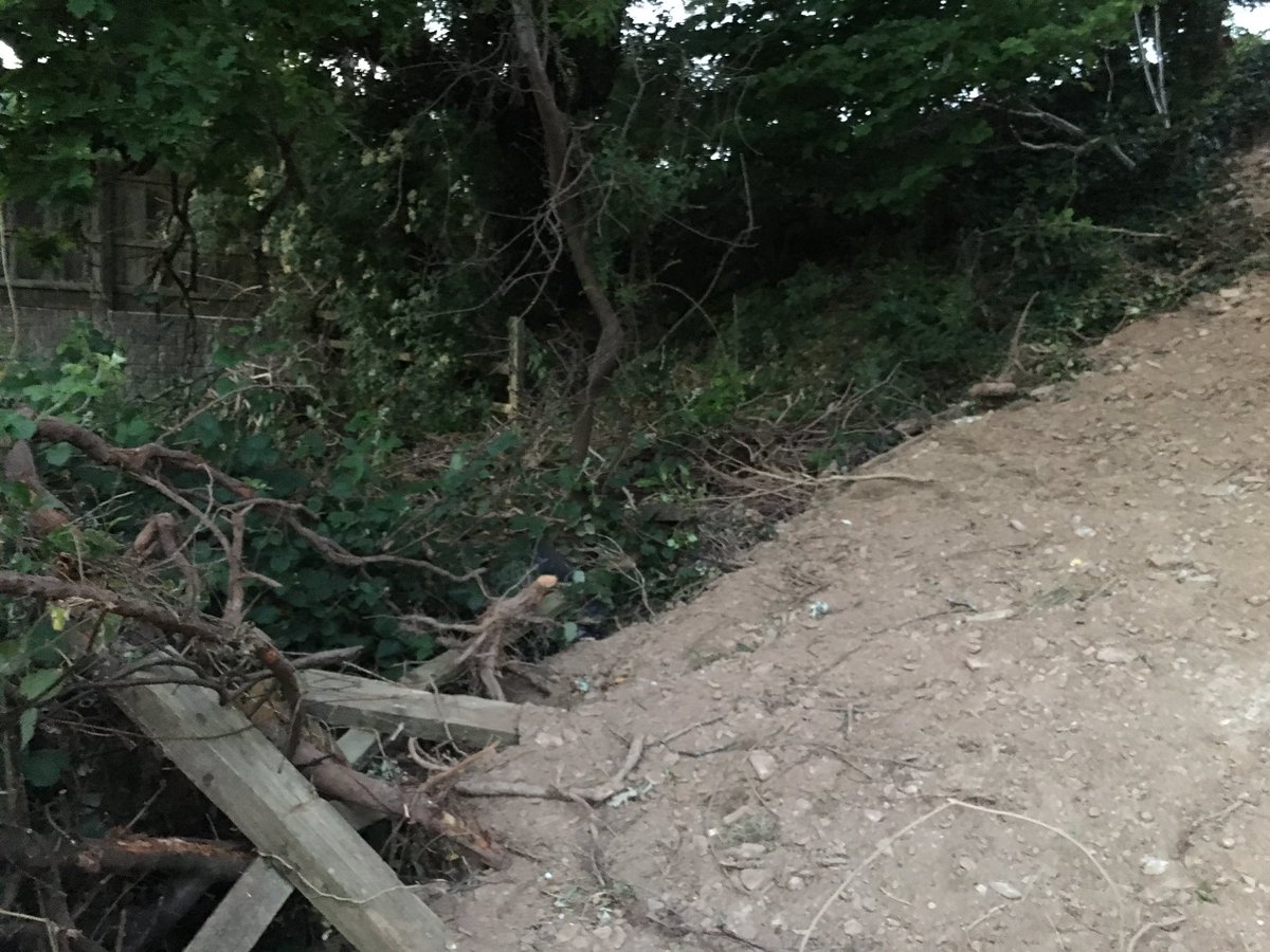 sararaine2's tweet photo. @plymouthcc is anyone going to replace all the trees and fencing on your side of the Roborough underpass after it left like this by workmen weeks ago? It has ruined a nice little nature spot. https://t.co/5ms9VtDxJK