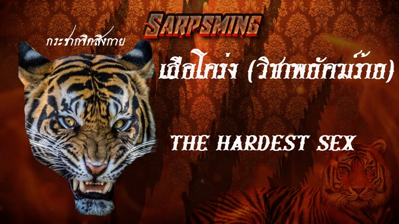 ไทยท่าน. tweet media
