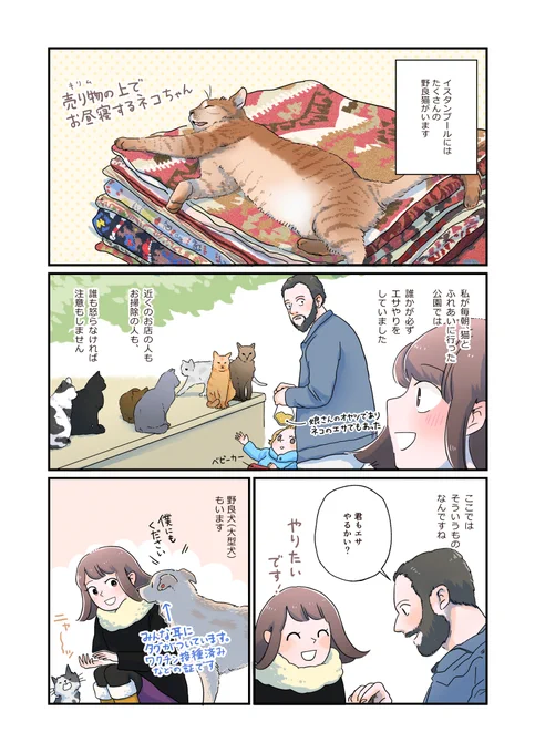 トルコ旅漫画 犬猫とイランの人たちとのお話(1)です。
#Turkey #トルコ #漫画 #コミックエッセイ 