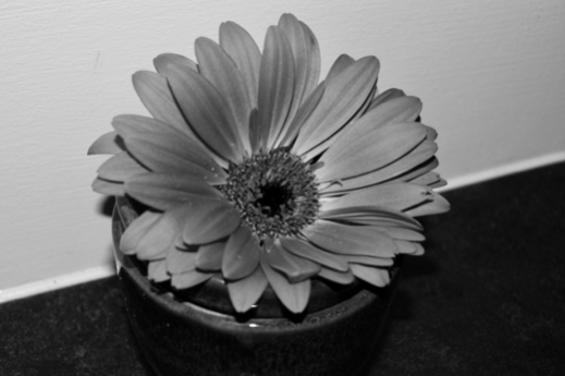 MsRobertson13's tweet photo. Some great contributions from our Higher Photographers who have been exploring the theme of objects...well done!! 🤩📸 https://t.co/RoPuMn3awT
