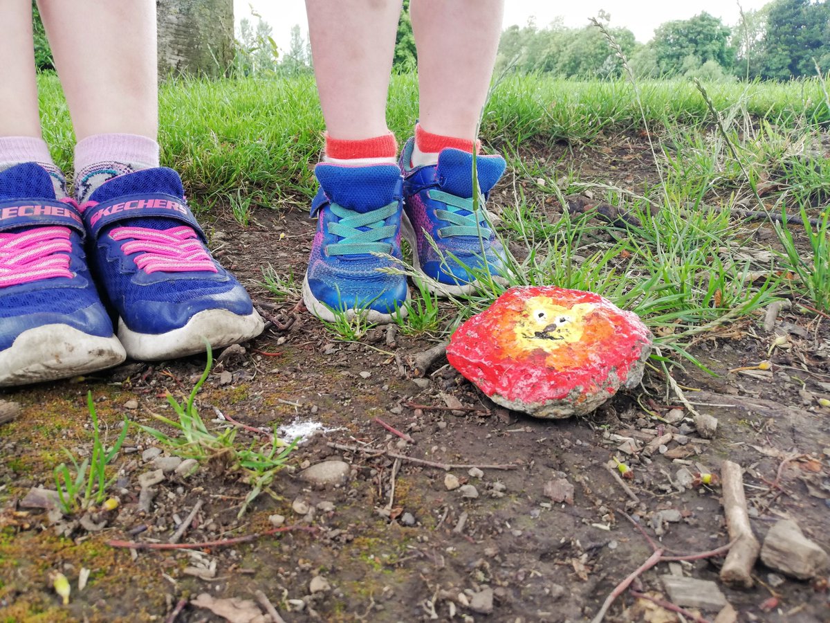 carolam3's tweet photo. @stbrigids_gns #StBrigidsRocks Sibéal's Hogwart Gryffindor rock found hiding under a hedge in Johnstown park.  Moved to easy location but for how long? #brigidsvirtualartsweek https://t.co/rJQf1C0ce6