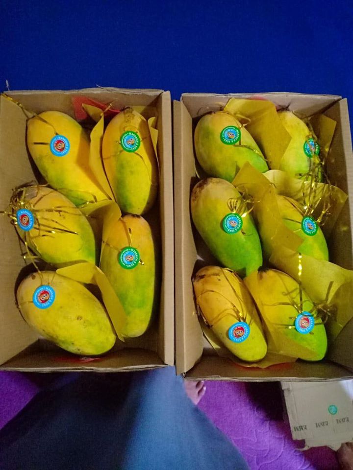 elixir_fruits tweet picture