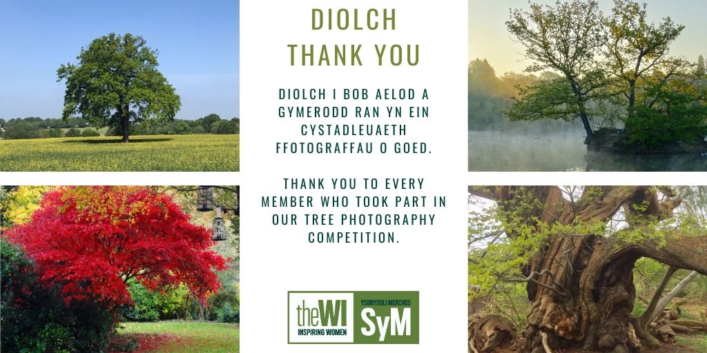 Thank you to all members who entered our Tree Photography Competition. We received 117 photographs.

Visit My WI to view the entries:-
mywi.thewi.org.uk/wales/nfwi-wal…

We also extend our huge thanks to Gareth Coles from Voluntary Arts Wales <a href="/volartswales/">Voluntary Arts Wales</a> for judging the competition.