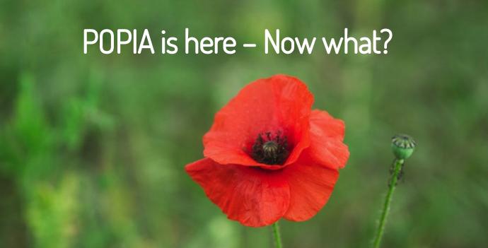 michalsons's tweet photo. Stay ahead of the curve with the Michalsons #POPIA infographic.

Click here to download our infographic: https://t.co/tpirIiJQLo

#popia #personalinformation #dataprotection #southafrica #privacyprotection #privacylaw #infographic https://t.co/sgM69Vdkjx
