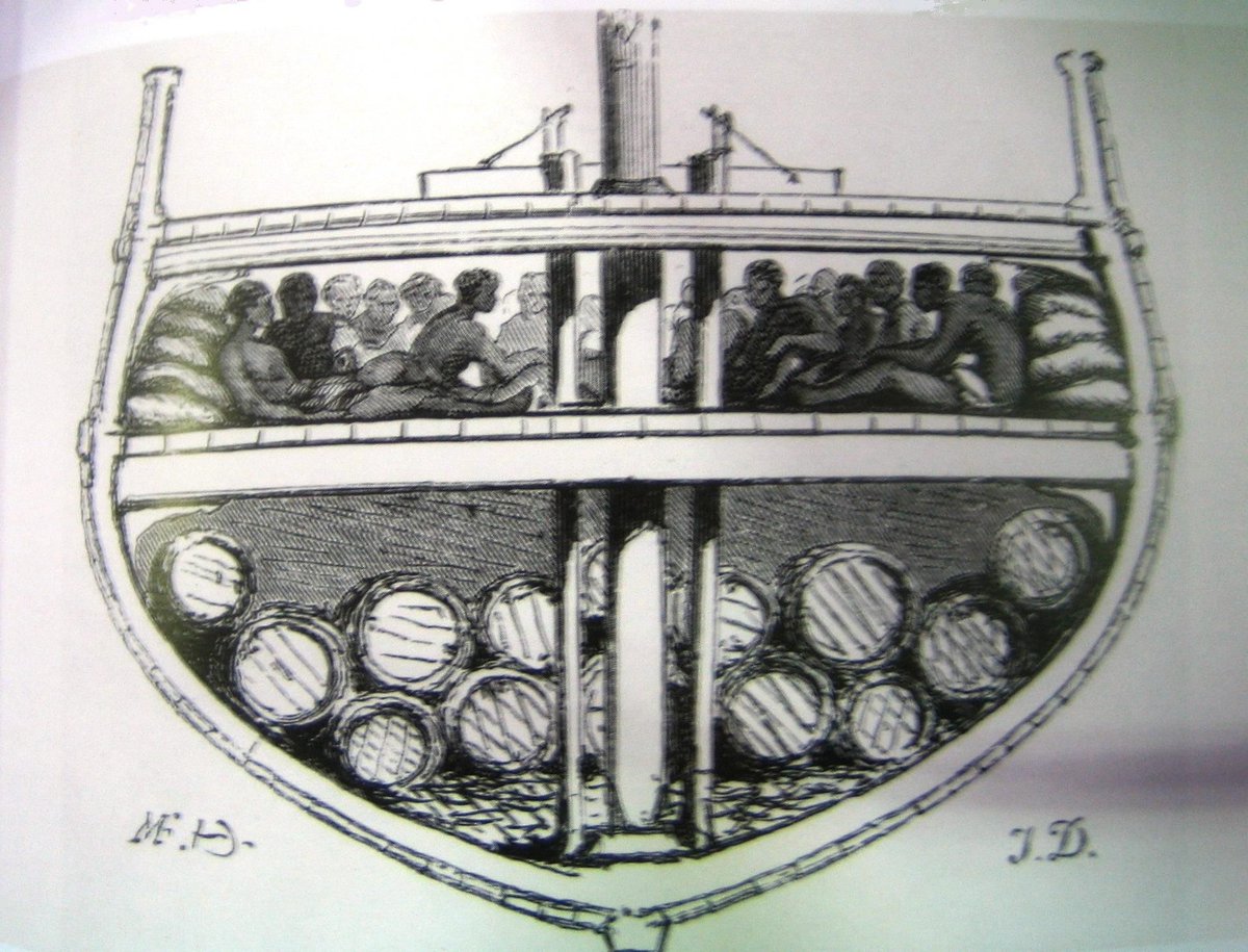 Un esprit bien rempli de propagande antiraciste va se diriger vers l'affirmation suivante : l'esclavage a été légalisé par Colbert parce qu'il s'agissait de personnes noires non considérées comme des êtres humains mais comme des "objets" ou des "animaux".