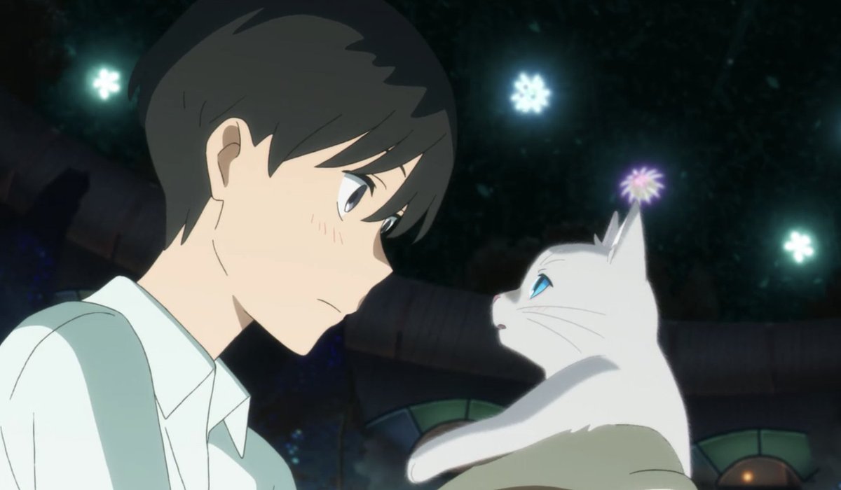 ZeeChwan's tweet photo. Everybody already watch it??? 😁🙋 #anime #animelover #neko #animeplanet #animeboys #nekogirl https://t.co/BiQOKkDS89