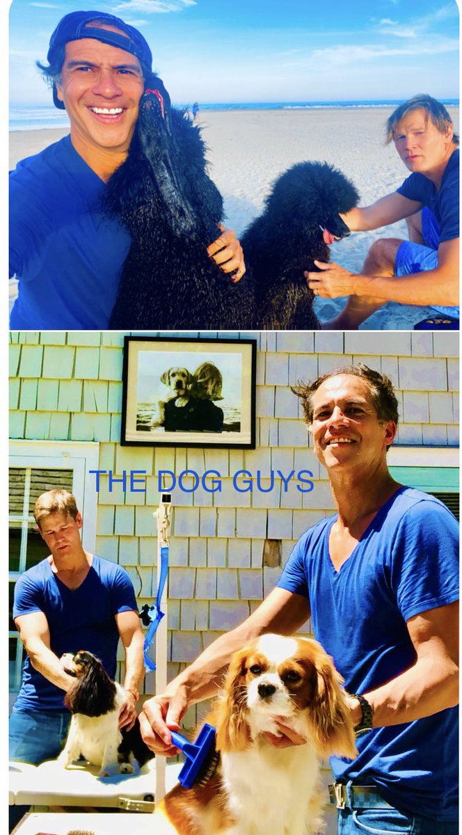 theDOGstore's tweet photo. House calls available 9175350239 https://t.co/SbsC8UZzjf