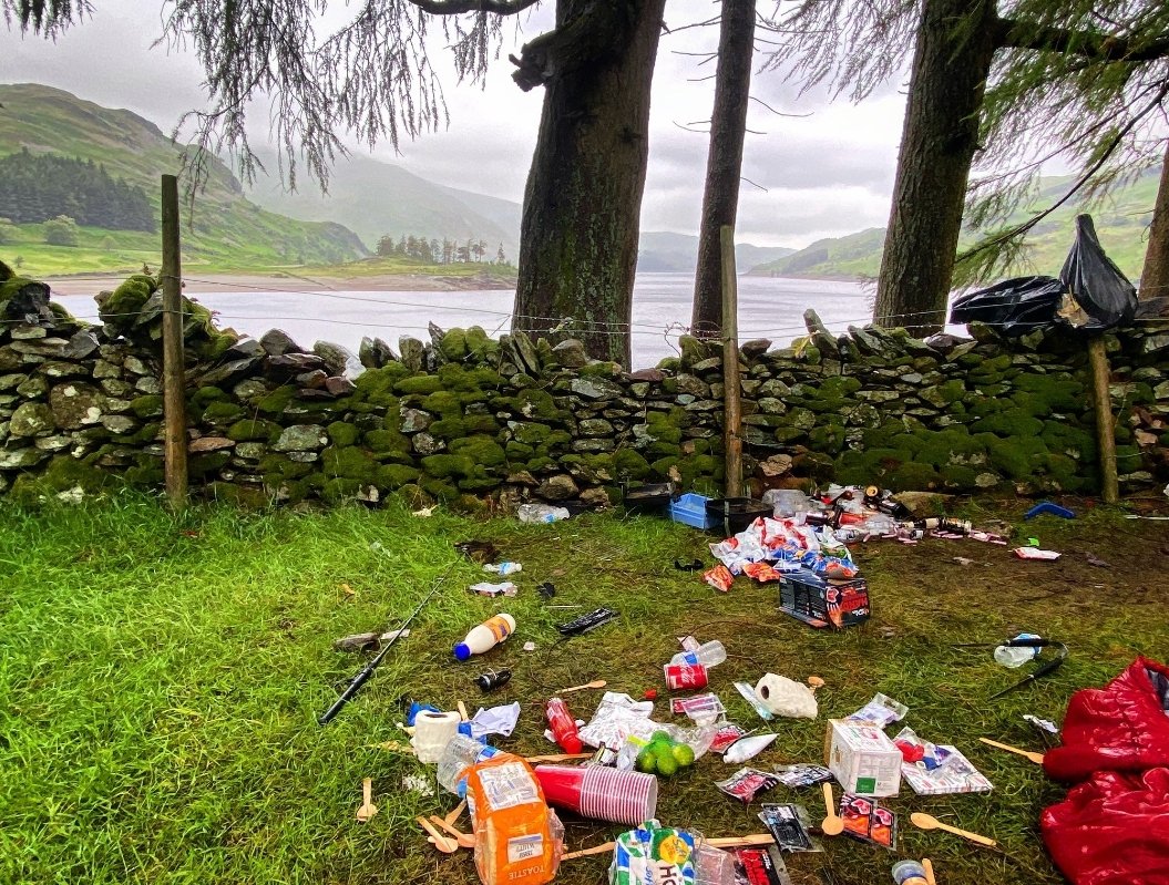 WillWalksWales's tweet photo. How do we stop this from happening? It's getting so bad. https://t.co/1XmVGsXGTz