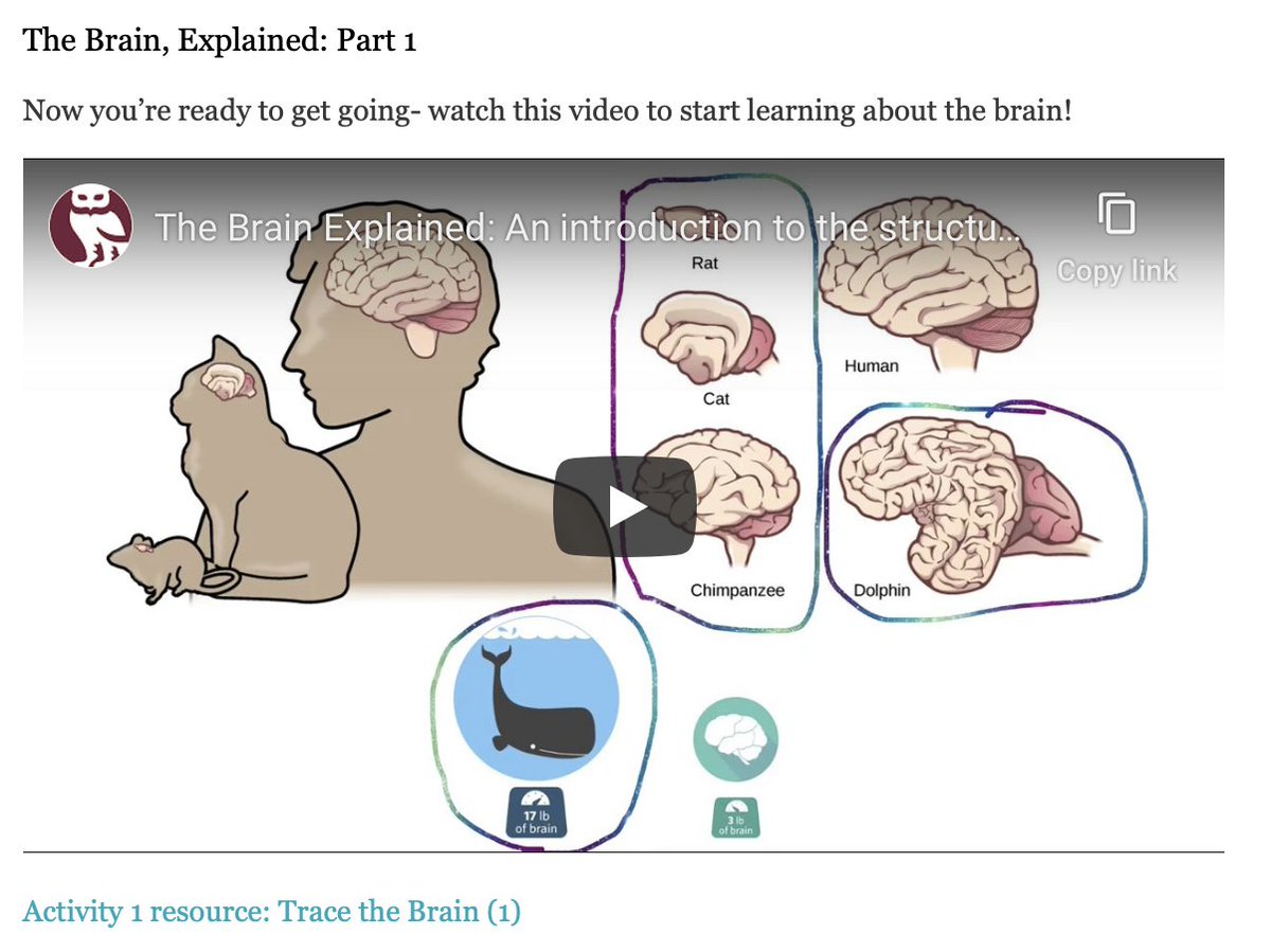 BirkbeckBabylab's tweet photo. NEW Family Learning Series- The Brain, Explained!
https://t.co/bJqRSxeHo2
PhD student Brittney Chere gives short virtual lessons on the brain aimed at children in years 4-6 and their parents. The videos are short lessons followed by fun activities for impactful family learning! https://t.co/fw5X0QGST4