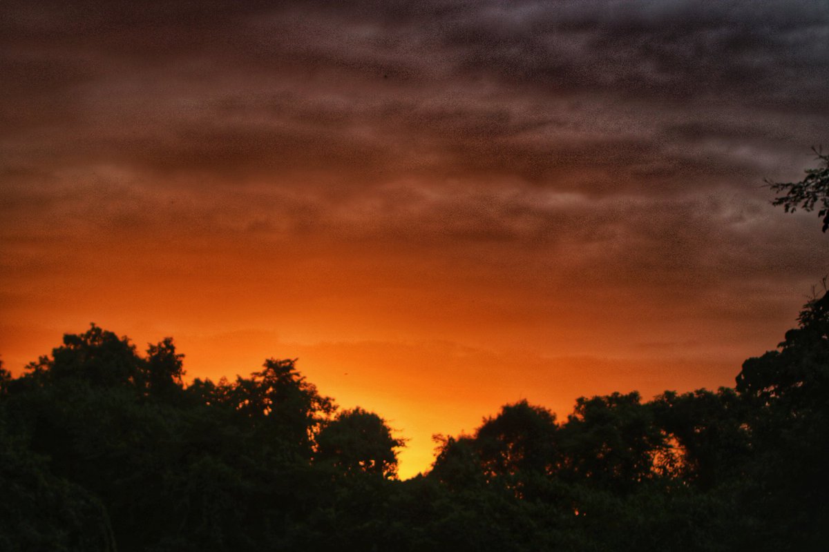 Now dark in the shadow, she scatters the sprayAs the chaff in the stroke of the flail;Now white as the sea-gull, she flies on her way,The sun gleaming bright on her sail. . . #mynortheastclix  #shadesofsun #assam #NorthEast  #everydayNEIndia  #photographer  #sunsetphotography