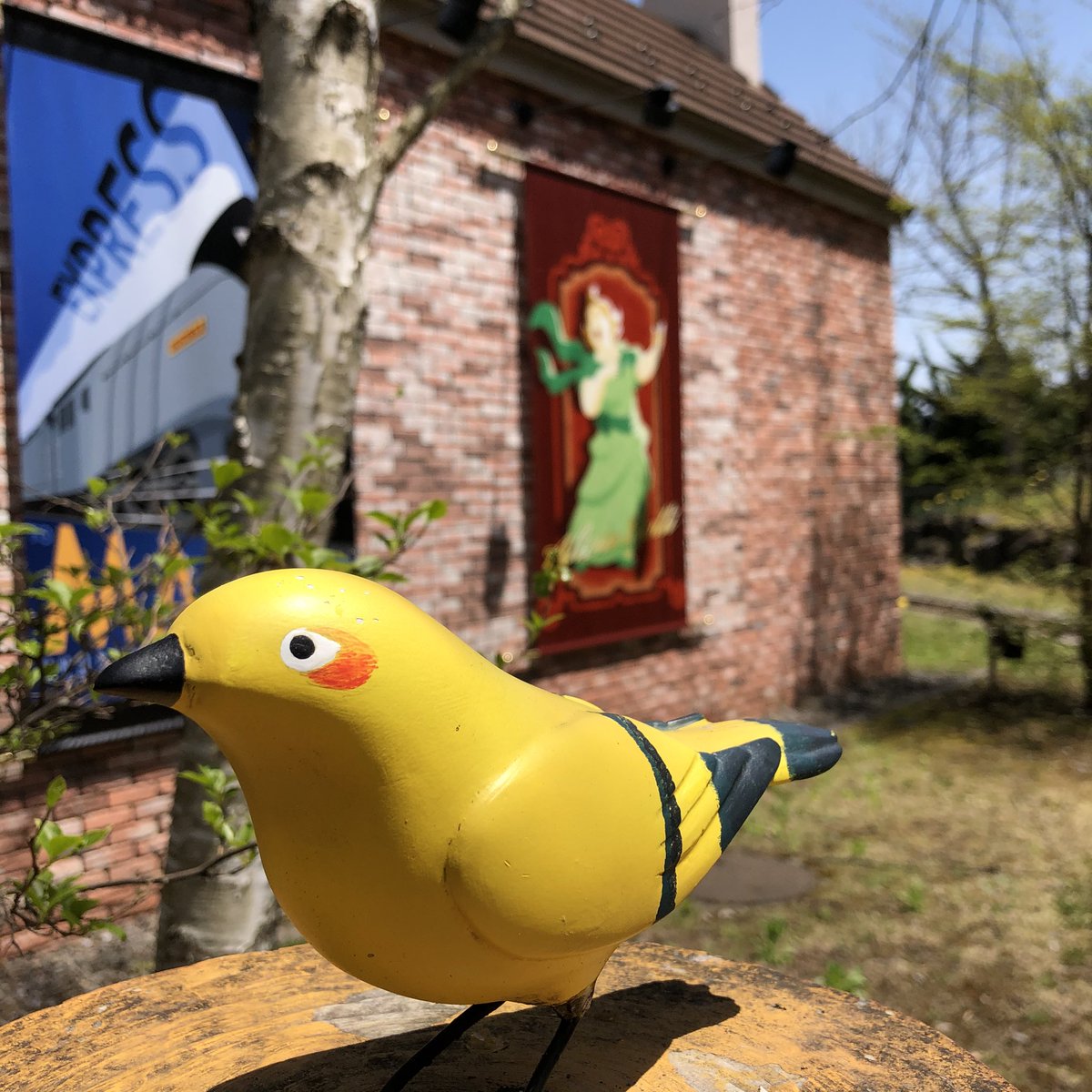 幸せを運ぶ黄色い鳥🐤】 ソドームシクイって知ってるかな？ ソドー島に