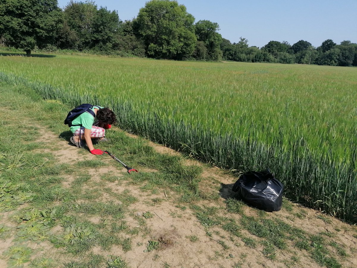 LKickers's tweet photo. It's going to be a hot one, so we headed out early today before making a start on our #homelearning. Bit of spontaneous science on the dangers of #nitrousoxide @KeepBritainTidy &amp; studying the latest stage of the crop cycle in the farmer's fields. And lots of cans, of course... https://t.co/2MDWoS3xtl