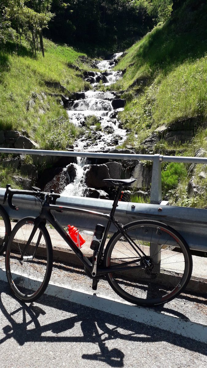 errebi54's tweet photo. È #perlei che mi sveglio presto al mattino, io #perlei soffrirei e vivrei una vita di più. Lei mi dice: tu sei uno che vale non arrenderti mai, lotta sempre.... #ioperlei #camaleonti #amolabici https://t.co/YRjnyRbl3p