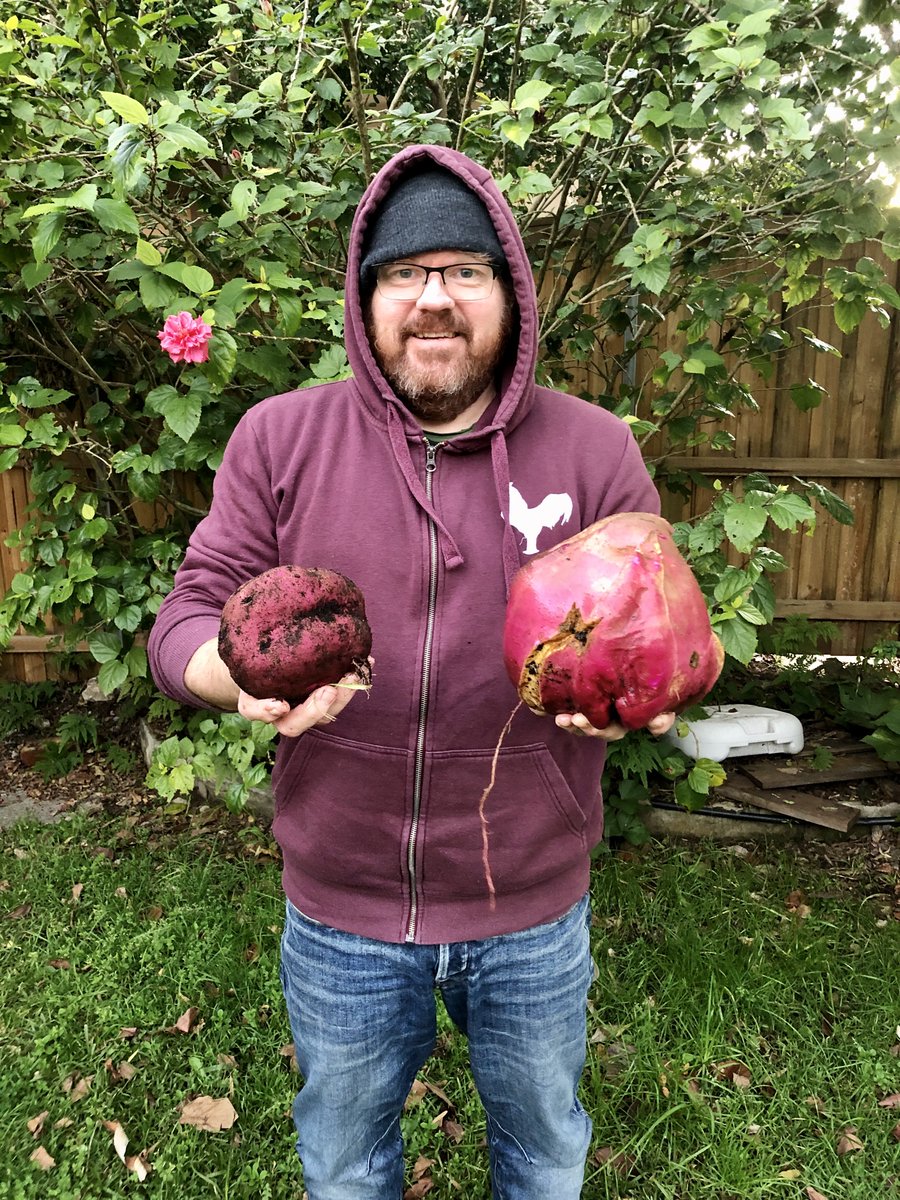 StephenJHunter1's tweet photo. Probably left these Kumera in the ground a wee bit long... #sweetpotato #kumera #vegepatch #monsterveg https://t.co/oP12ptlhxp