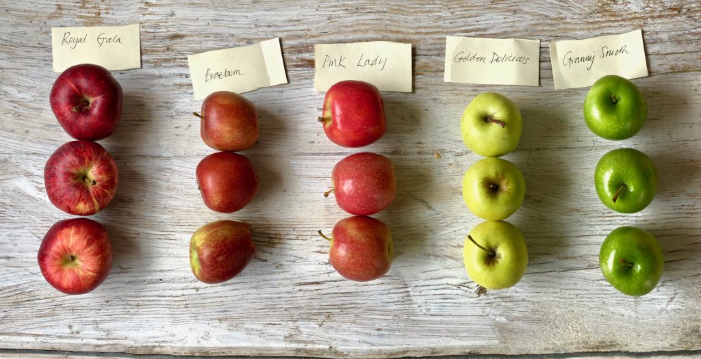 SAFruit's tweet photo. There are about 7500 apple varieties worldwide, if you had to eat a new one every day, it would take over 20 years to try them all.
ph. @MsMarmitelover 
#southafricanfruit #FruitFact https://t.co/IV5OHWRWoJ