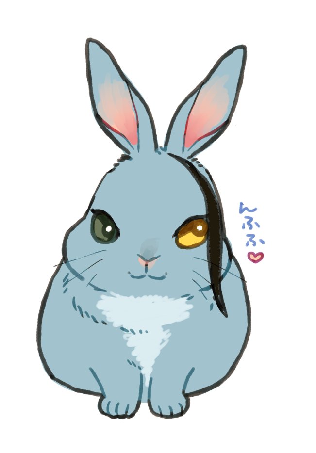 heterochromia no humans white background rabbit simple background animal focus looking at viewer  illustration images