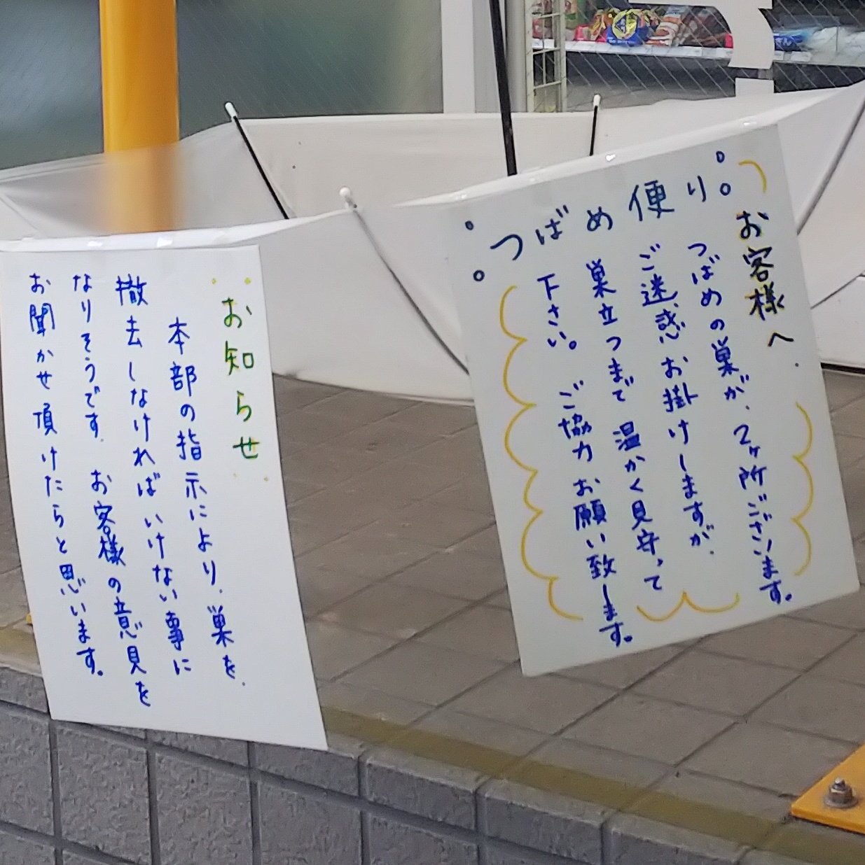 きなお ファミリーマート猿沢池店 先月はつばめの巣から落ちる糞対策で微笑ましく思えたのですが 本部の指示により撤去しないといけないそうです 秋口までそのままではいけないのかな 餅飯殿 センター街 もちいどの もちいどの商店街 ファミマ