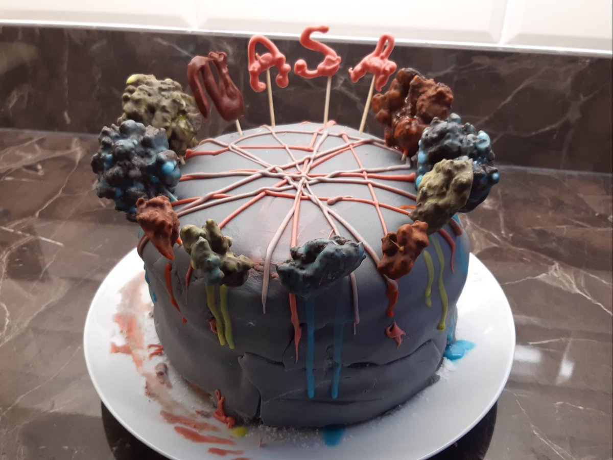 ThornhillDerry's tweet photo. Our final entry for our #ScienceBakeOff comes from 8H. Well done to everyone who has participated in our competition. It has been fantastic to see your culinary skills and imaginative designs! We will be announcing our overall winner soon! https://t.co/6qcniXVlfq