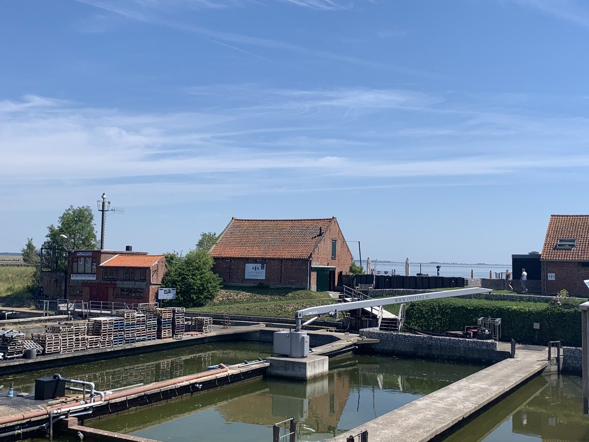 DNijstad's tweet photo. Met dit weer is werken in Zeeland helemaal geen straf! Wat zijn we met leuke dingen bezig 🤗 #conceptontwikkeling #toerisme #mosselen https://t.co/SXvMbFldEz