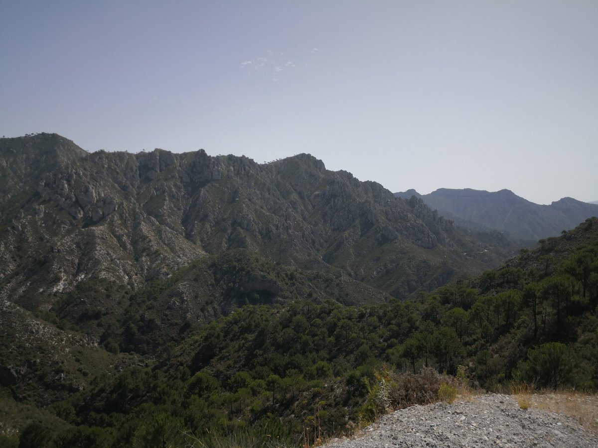 MtgBarber's tweet photo. Disfrutando por la sierra de Granada https://t.co/fIPB8bSewH