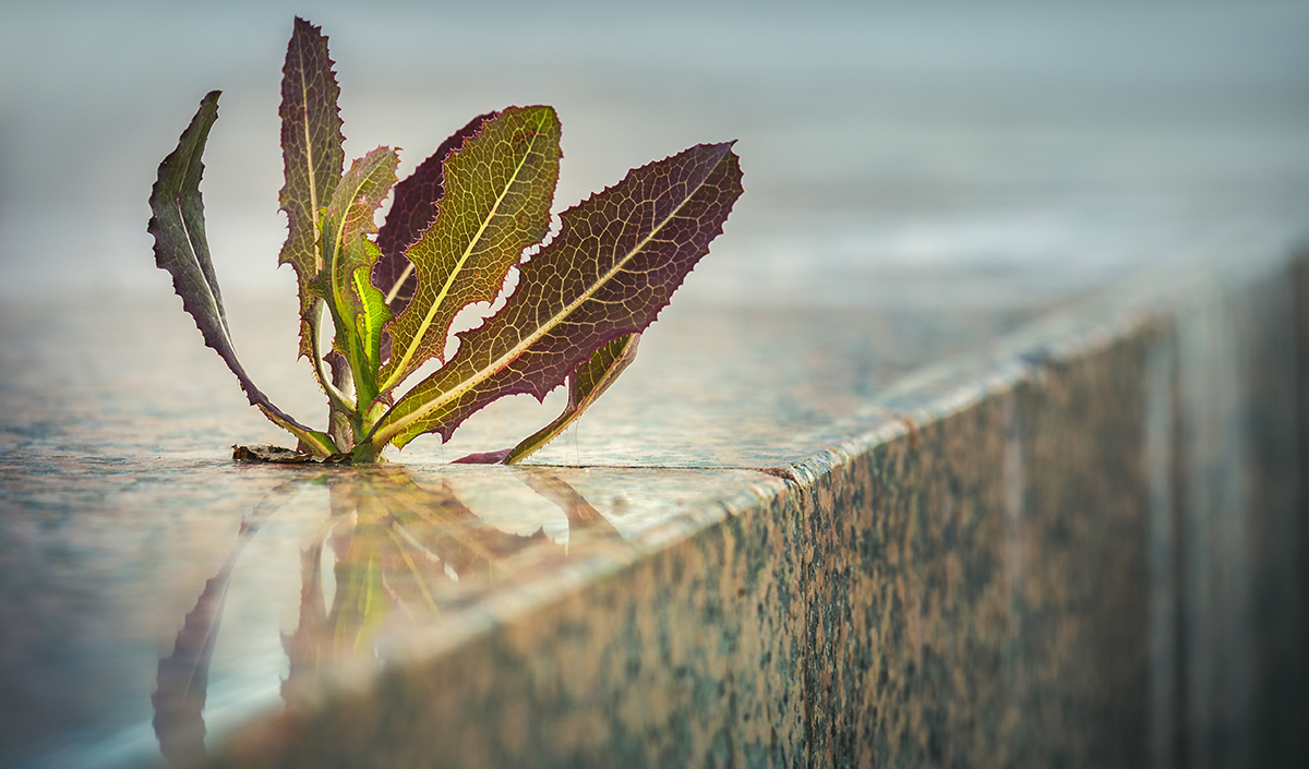 ORH_RH's tweet image. Mira este #WebinarORH si quieres aprender sobre 'Agilidad y liquidez desde la gestión de personas' con los expertos Marcos Sanz @_PeopleMatters y Carlos Castellanos @Meta4_es ow.ly/u2e050AgmcM 📹