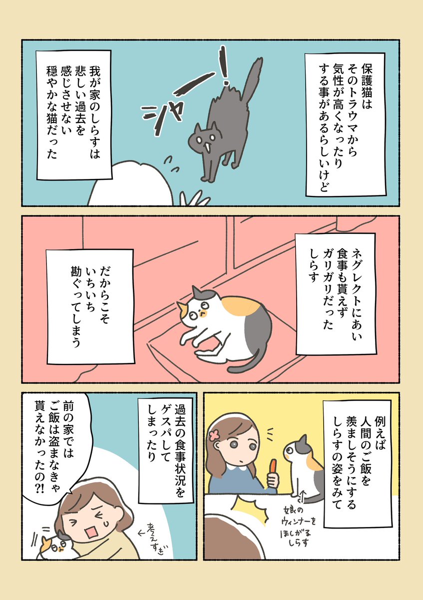 三毛猫しらす日記④
(修正上げ直し)

考えすぎだとはわかってるけど色々勘ぐってしまう。
「悲しい過去なんてなかった」と思いたい気持ちもあって
過去を思えば思うほど、感情の解像度が低くなる…
愛しいからこそ、辛い過去をぼかしたくなる 