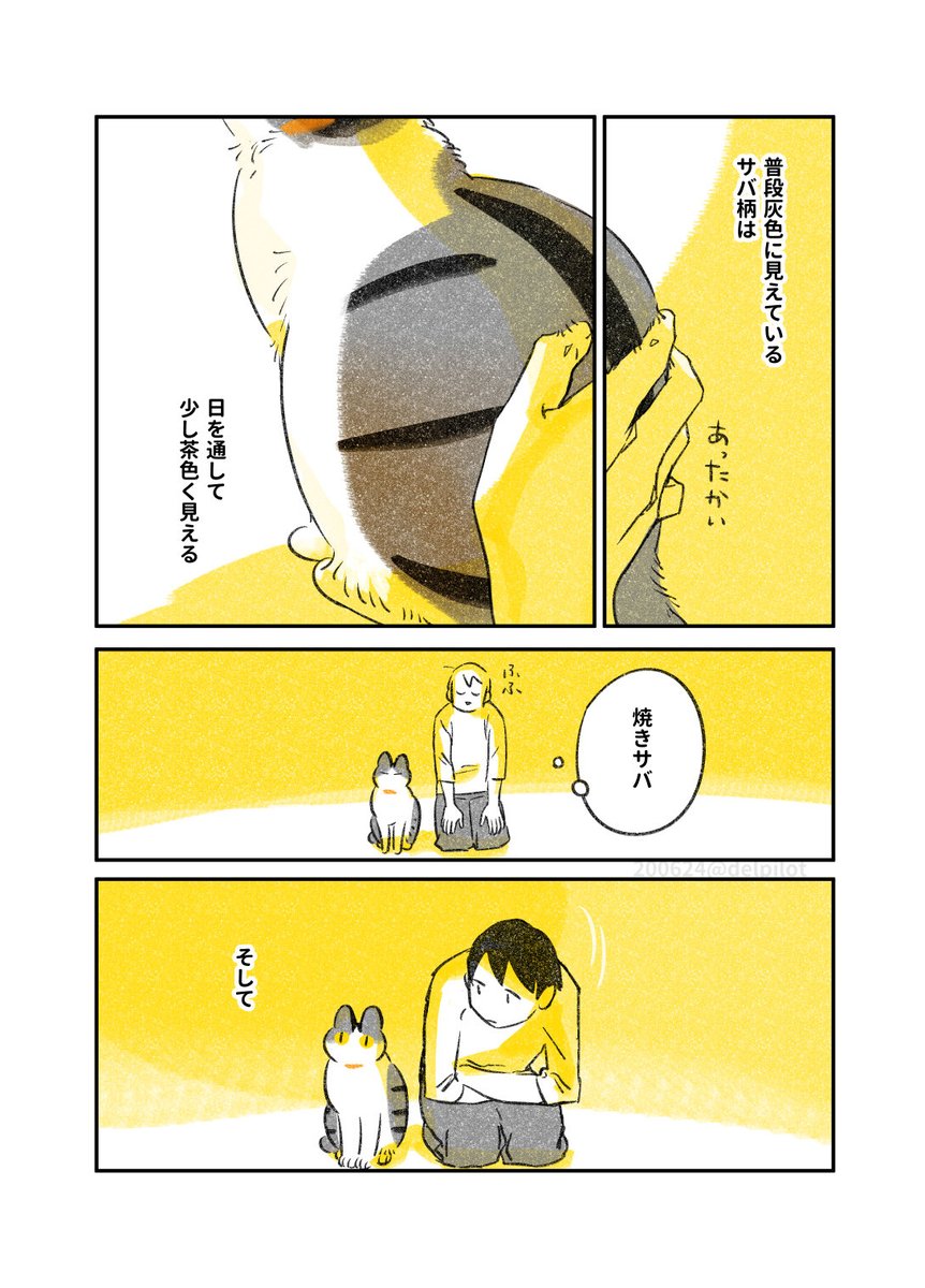 日に当たる猫 